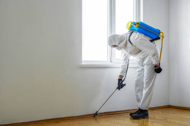 Best Local Pest Control Services  in Cementon, PA