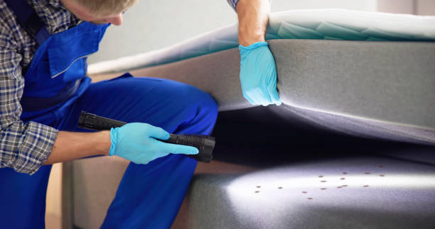 Best Pest Prevention Services  in Cementon, PA