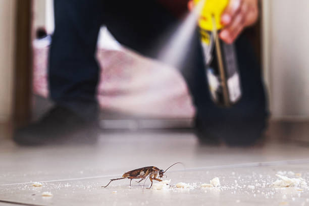 Pest Prevention Services in Cementon, PA