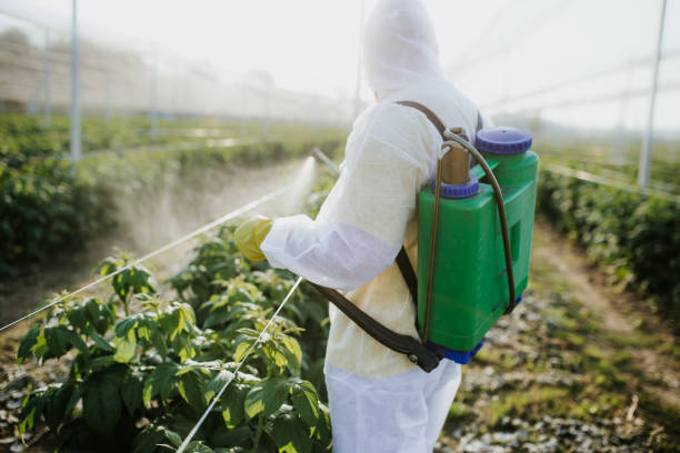 Best Mosquito Control Services  in Cementon, PA